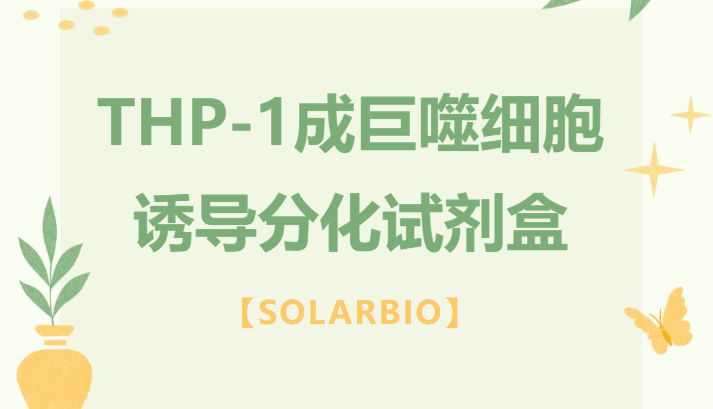 THP-1成巨噬细胞诱导分化试剂盒