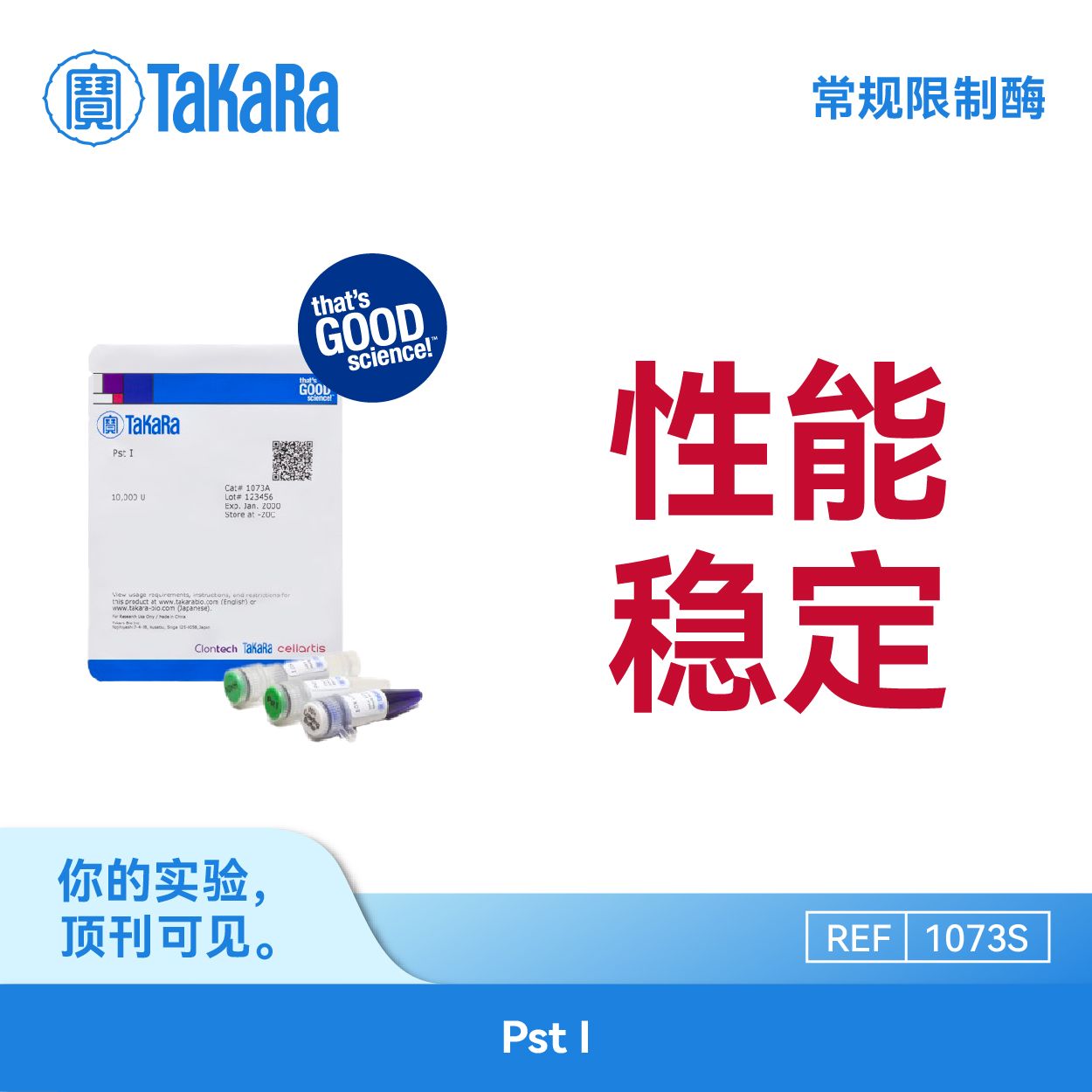 TaKaRa 常规限制酶Pst I