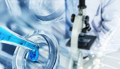 文献解读|基于微流控技术和迁移学习的复杂组织高分辨率空间分辨蛋白质组学研究