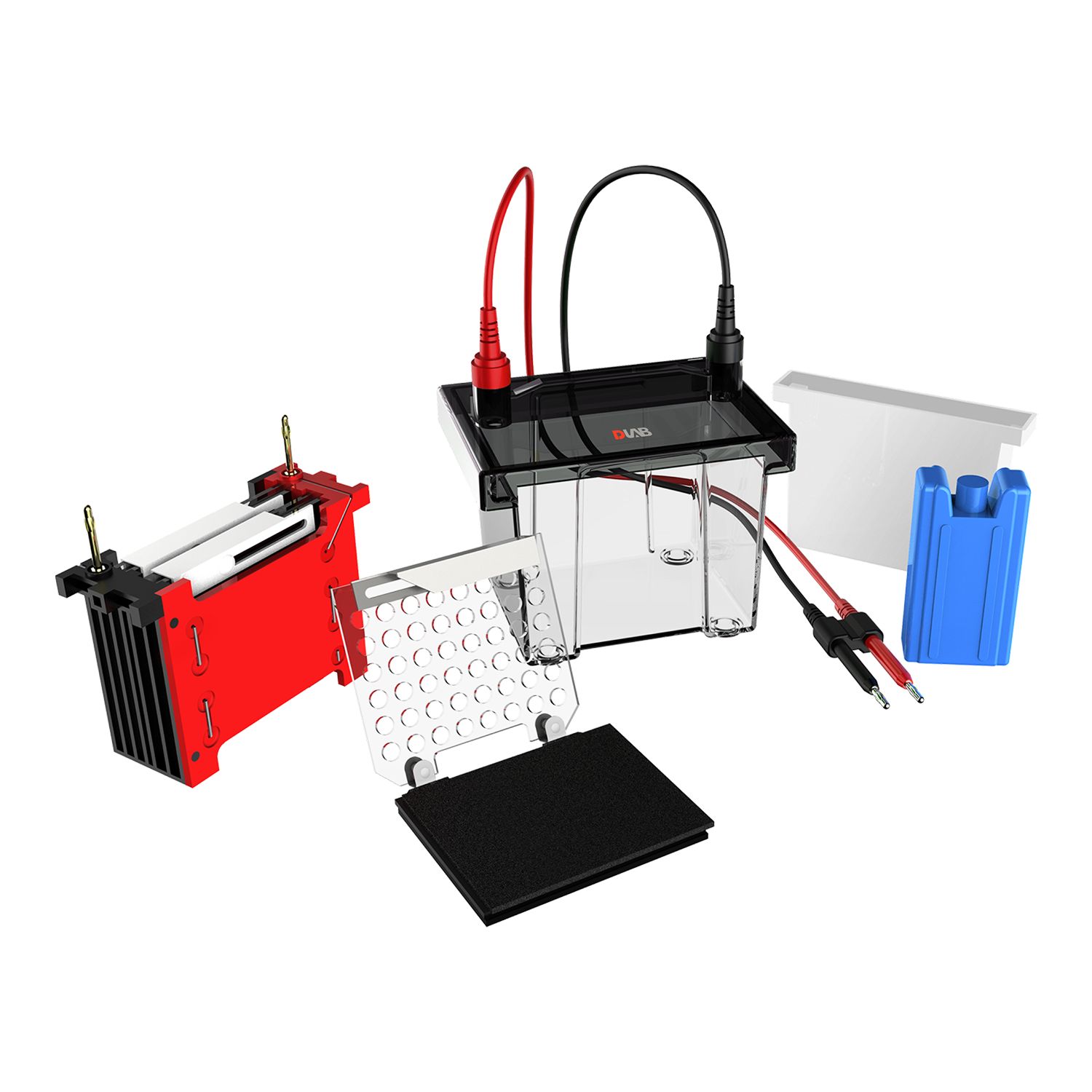 DL-ZY02 迷你型转移电泳槽