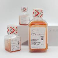 Potassium Chloride Solution, 0.075 MolarC3540-0500