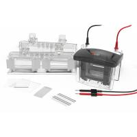 DL-Mini04 迷你型垂直电泳槽