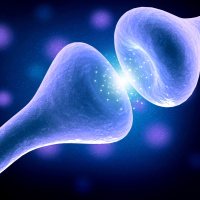 外泌体 GW4869 抑制剂