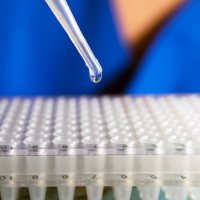 2×SYBR Green qPCR试剂（预混ROX2型）