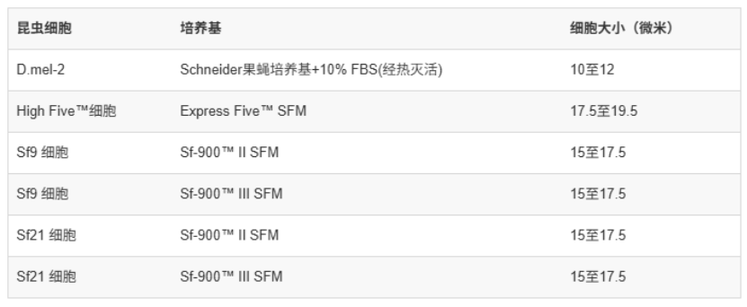 Sf9等昆虫细胞培养常见问题及解决方案-赛默飞