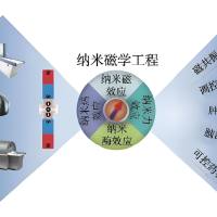 脑靶向肽Angiopep-2/羧基功能化的DyLight 650标记超顺磁性氧化铁纳米颗粒负载替莫唑胺的构建及其跨BBB靶向治疗胶质瘤