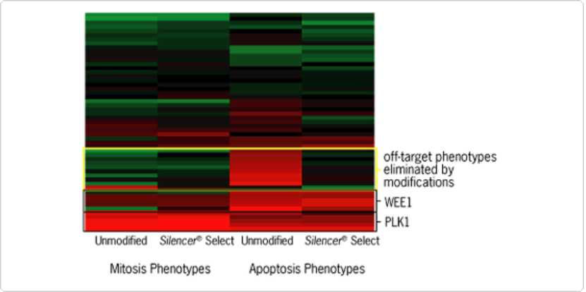 手机屏幕的截图

AI 生成的内容可能不正确。