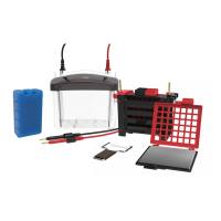 DLAB 大龙 DL-ZY04 迷你型转移电泳槽