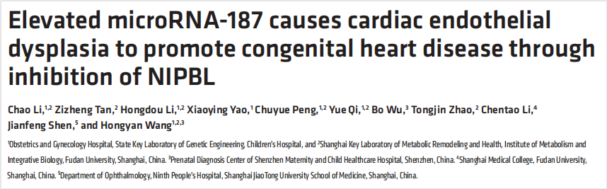 研究分享｜先天性心脏病发病机制和治疗靶点探索