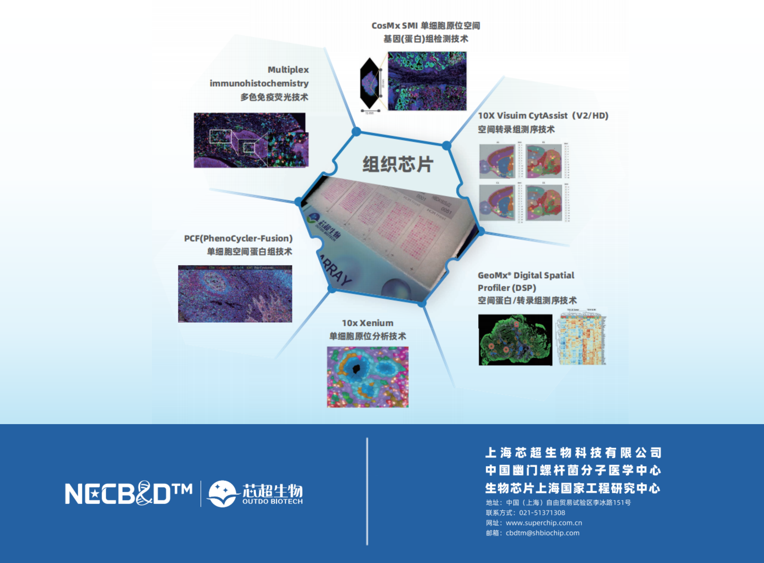 【IF=48.8】大样本和空间多组学分析-揭示小细胞肺癌异质性