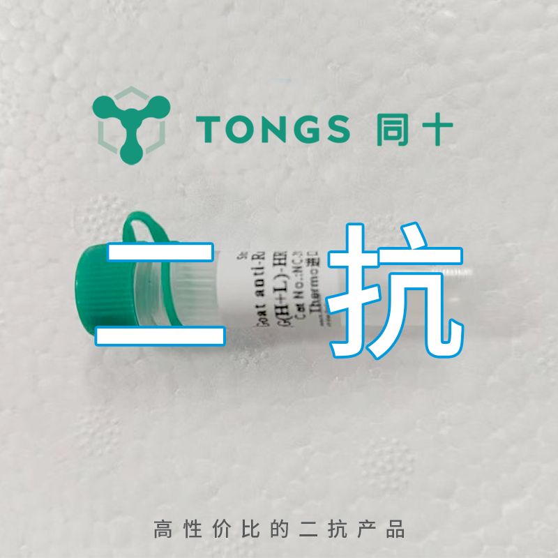 Goat anti-Rabbit IgG (H+L)二抗，HRP