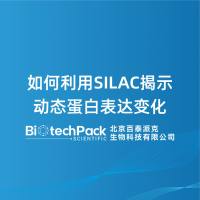 如何利用SILAC揭示动态蛋白表达变化