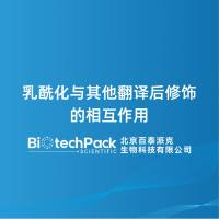 乳酰化与其他翻译后修饰的相互作用