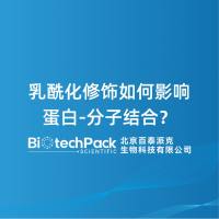 乳酰化修饰如何影响蛋白-分子结合?