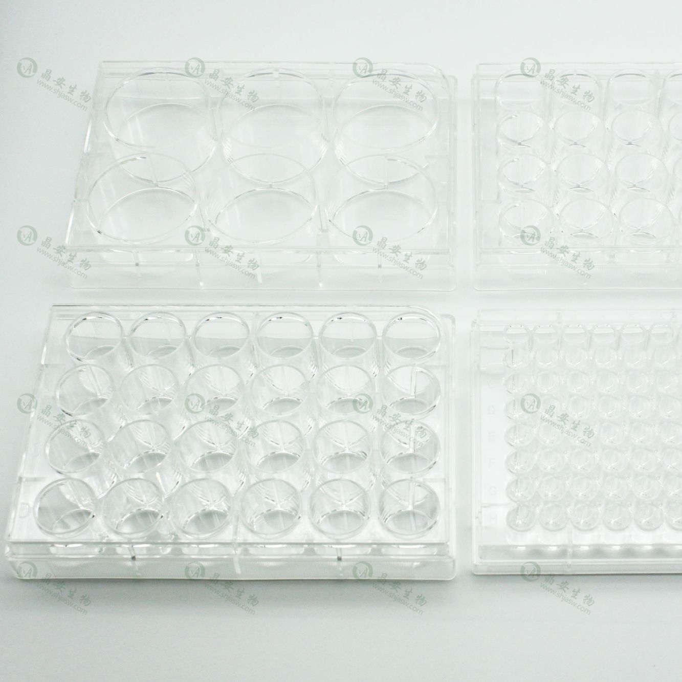 多聚-D-赖氨酸蛋白包被12孔细胞培养板