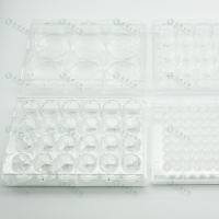 多聚-D-赖氨酸蛋白包被12孔细胞培养板