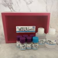 纤维蛋白原(FIB)测定试剂盒