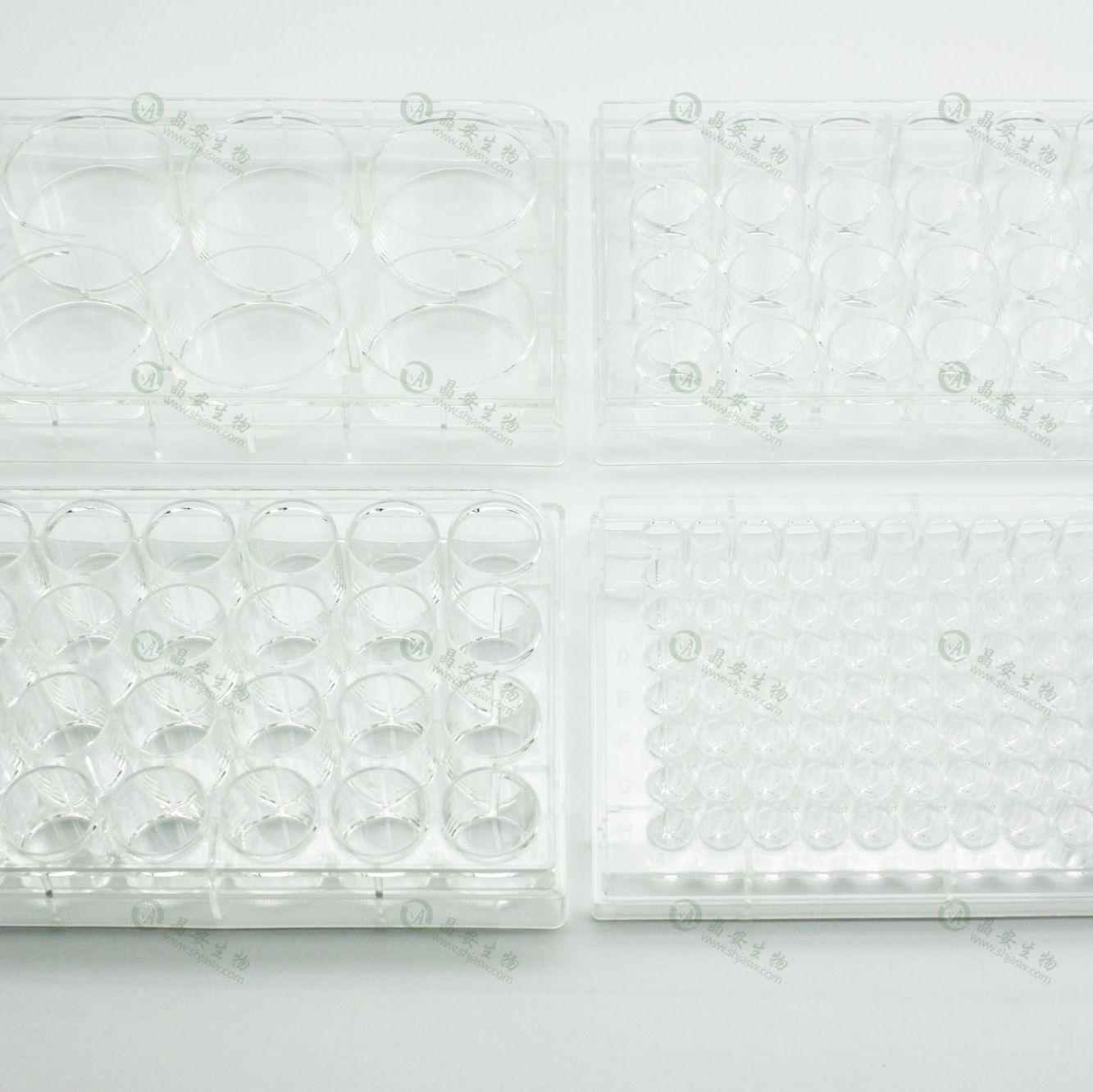 多聚-D-赖氨酸蛋白包被24孔细胞培养板