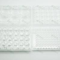 多聚-D-赖氨酸蛋白包被24孔细胞培养板