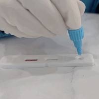 血吸虫IgM抗体检测试剂盒(ELISA)