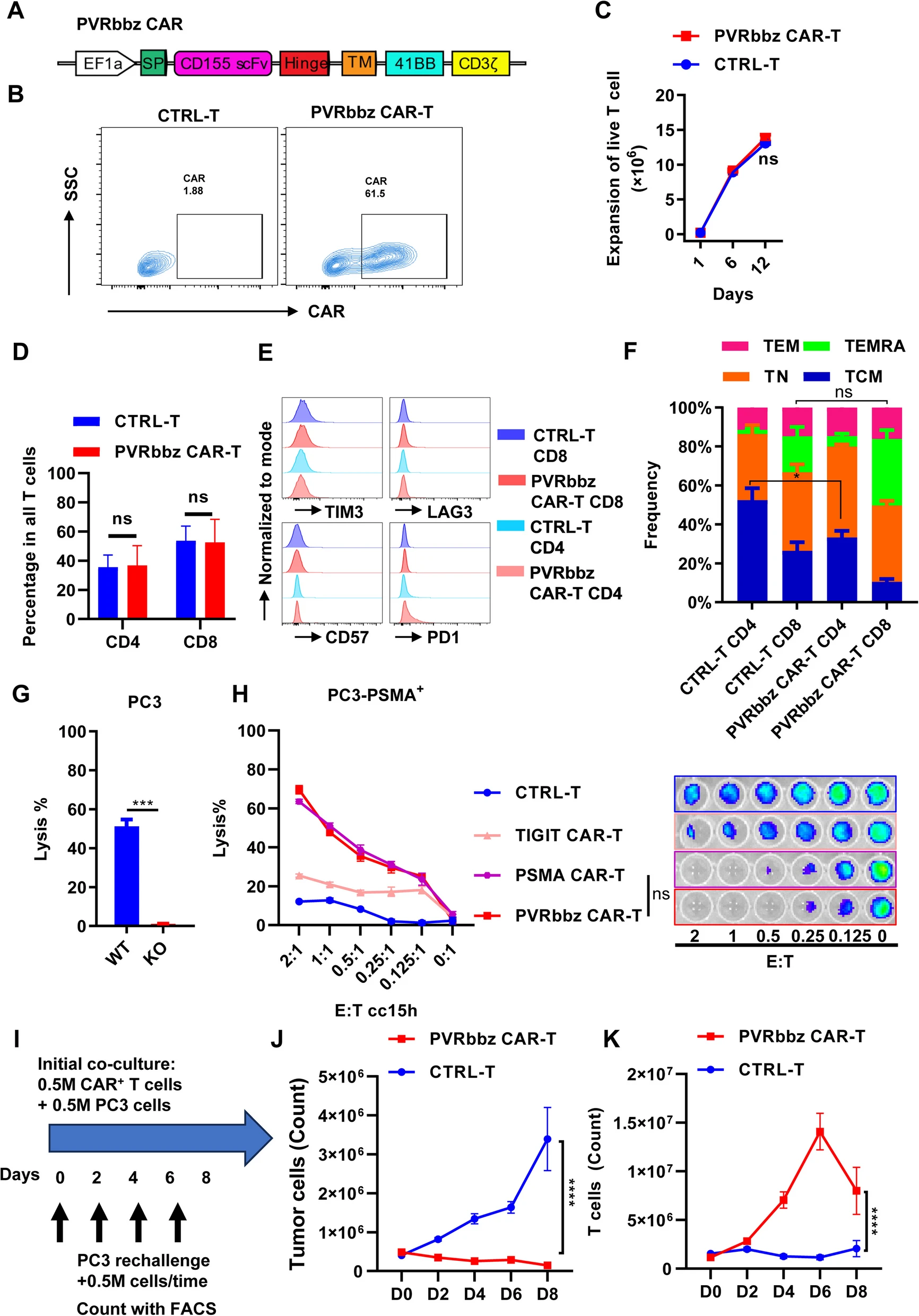 BMG LABTECH多功能酶标仪文献分享,华东师大研究团队发表在Genome Medicine 上名为 “Pan-cancer analysis identifies CD155 as a promising target for CAR-T cell therapy”.....