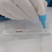 旋毛虫IgM 抗体检测试剂盒