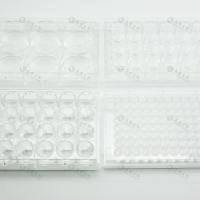 胶原蛋白I包被48孔细胞培养板