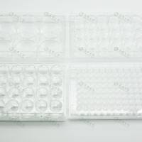 胶原蛋白I包被24孔细胞培养板