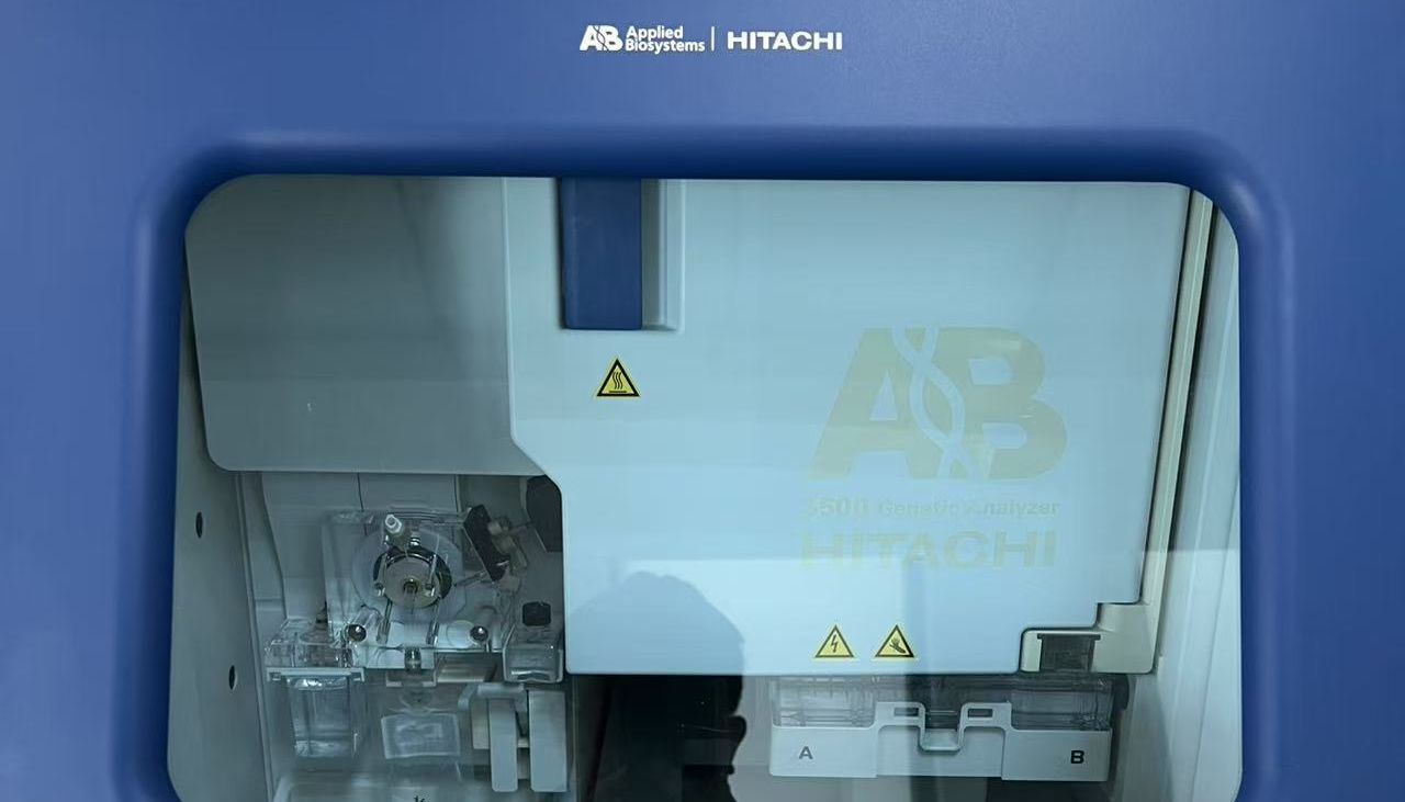 人源/小鼠细胞STR鉴定599元/株