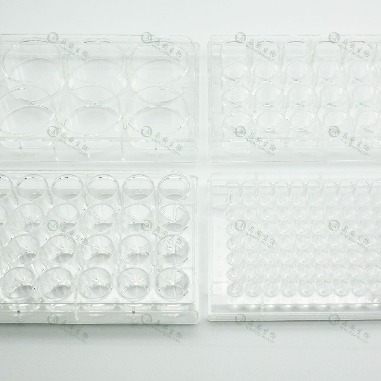 明胶(Gelatin)包被U底V底96孔细胞培养板