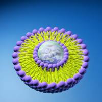 脂质体包载勒托替康 Liposome@Lurtotecan