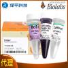 NEB ScaI-HF高保真限制性内切酶,Scai-HF,Sca1-HF,Scal-HF,ScaiHF,Sca1HF,ScalHF 货号:R3122