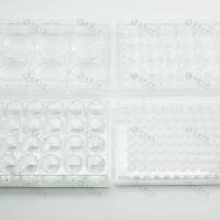 12孔超低吸附细胞培养板