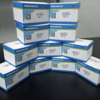 大豆真实性鉴定荧光引物探针