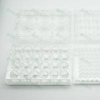 6孔超低吸附细胞培养板