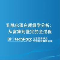 乳酰化蛋白质组学分析：从富集到鉴定的全过程