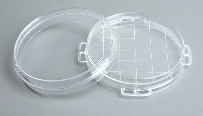 如何系统地寻找3D细胞培养产品?