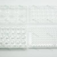 胶原蛋白I包被12孔细胞培养板