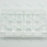 胶原蛋白I包被6孔细胞培养板