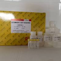 牙刷DNA提取试剂盒