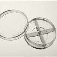 35mm多孔玻底皿(玻底培养皿,激光共聚焦专用培养皿)