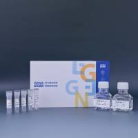 慢病毒浓缩试剂盒Lenti-Pro Concentration Kit