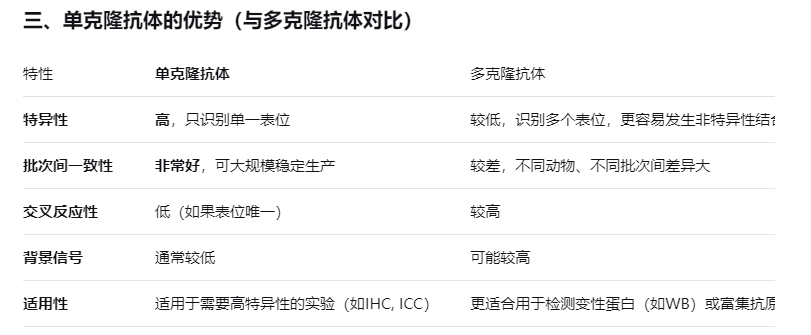 GAPDH单克隆抗体用途、特点、使用注意事项