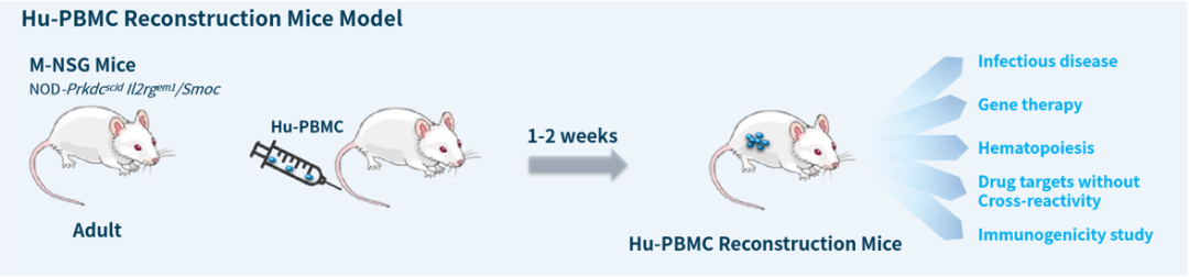 开学伊始，你的模式动物选好了吗！