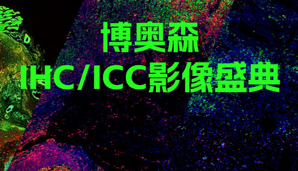 博奥森IHC/ICC影像盛典——首届Bioss杯“探荧寻踪”生物标记影像赛