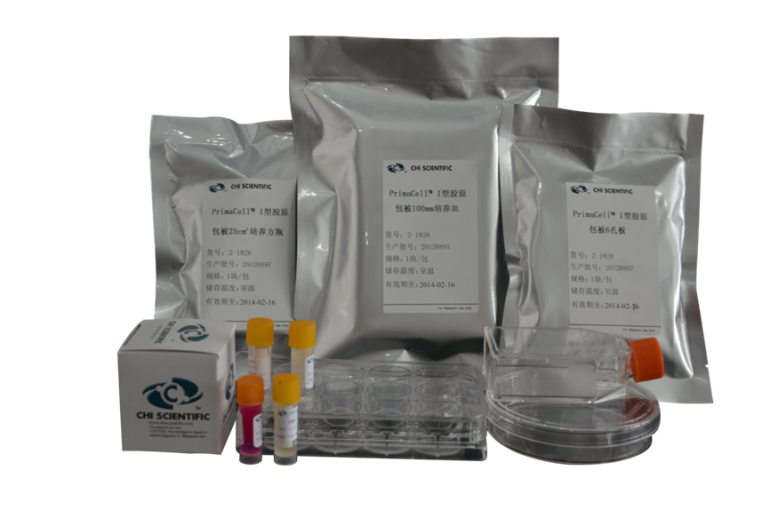 原代细胞 2.png 原代细胞 2.png