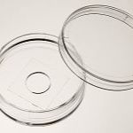 35mm玻底皿(玻底培养皿,激光共聚焦专用培养皿)