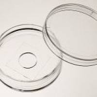 35mm玻底皿(玻底培养皿，激光共聚焦专用培养皿)