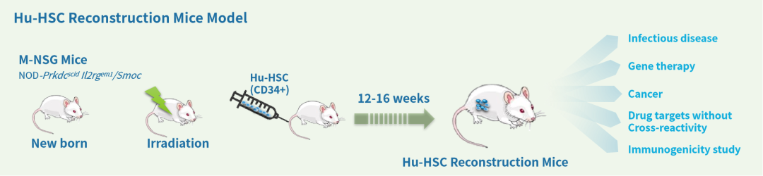 开学伊始，你的模式动物选好了吗！