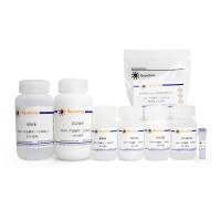 AAV Purification Kit Mini for All Serotypes
